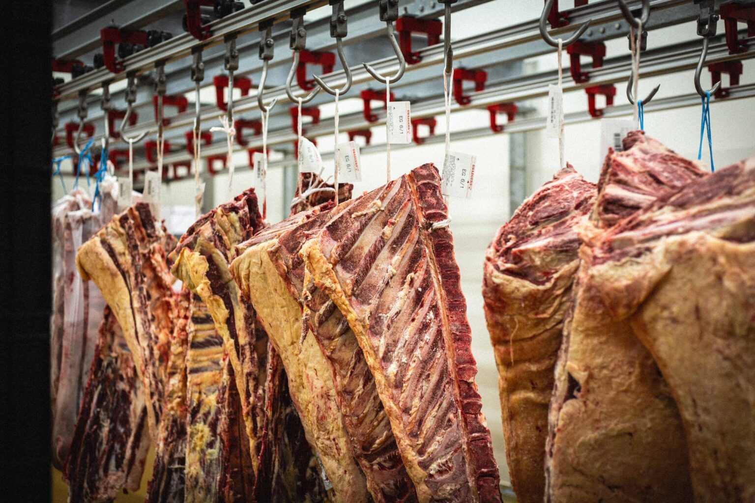 Slagers aan het werk in het atelier van Butcher's Craft in Aartselaar